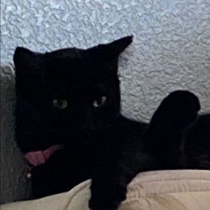 Meet your Posher, Paola